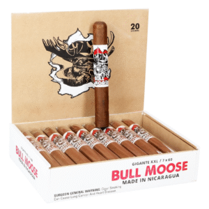 Chillin' Moose Bull Moose Gigante 6" × 60 – Box of 20