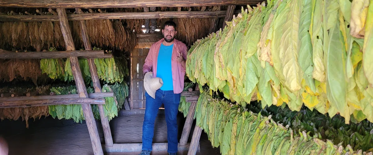 the Art of Cigar Blending How Premium Cigars Are Crafted  Cigardepotus