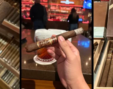 Oliva Serie V Melanio Churchill Review Flavor Craft  Legacy  Cigardepotus