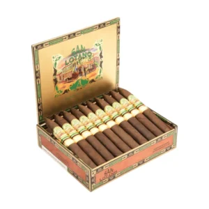 Open box of San Lotano cigars arranged in neat rows with green-and-gold bands.