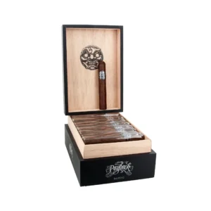 Black cigar humidor open to reveal a single cigar in the upper chamber and a tray of cigars in the lower drawer, with a skull logo inside the lid and 'Payback Gordo' on the front.